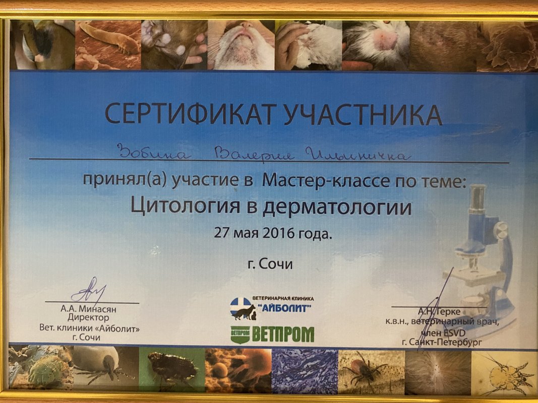 Документ или сертификат