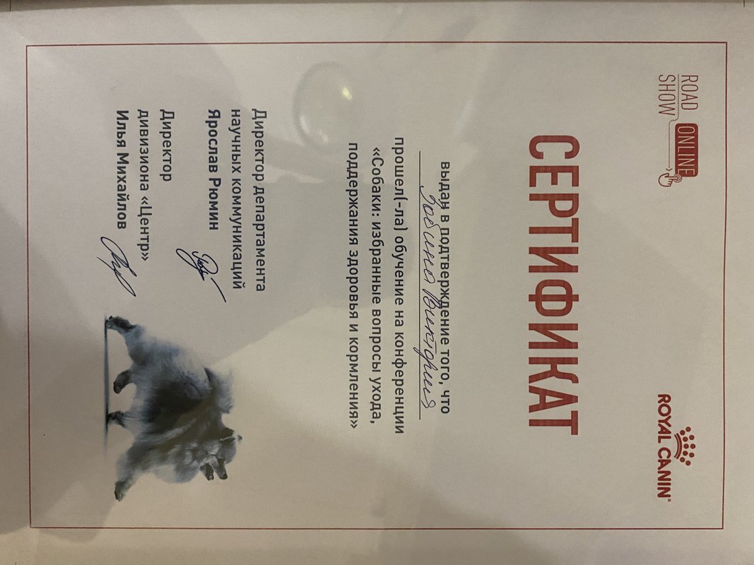 Документ или сертификат
