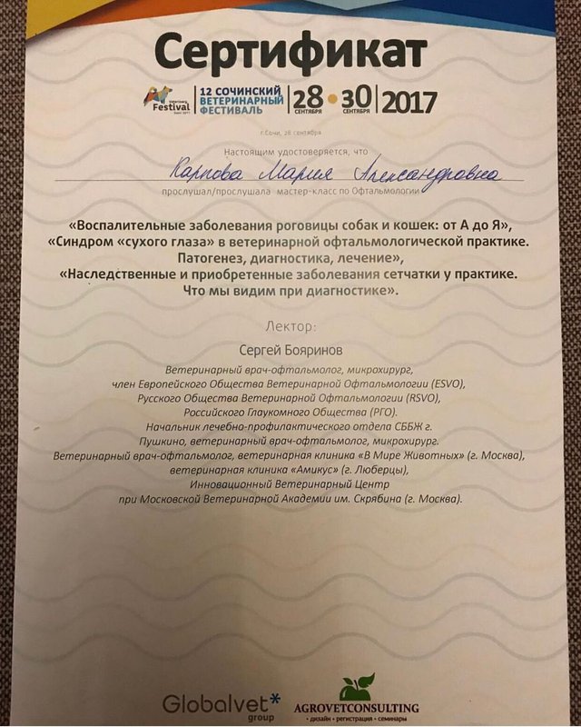 Документ или сертификат