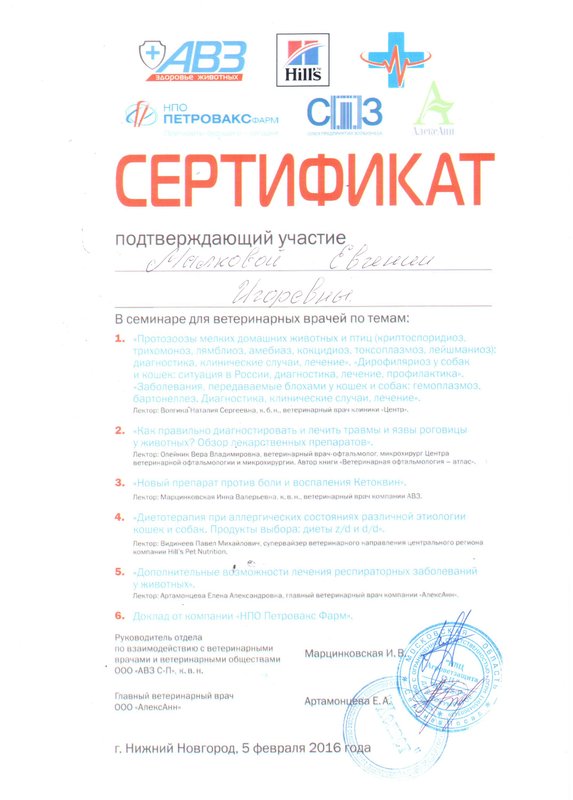 Документ или сертификат