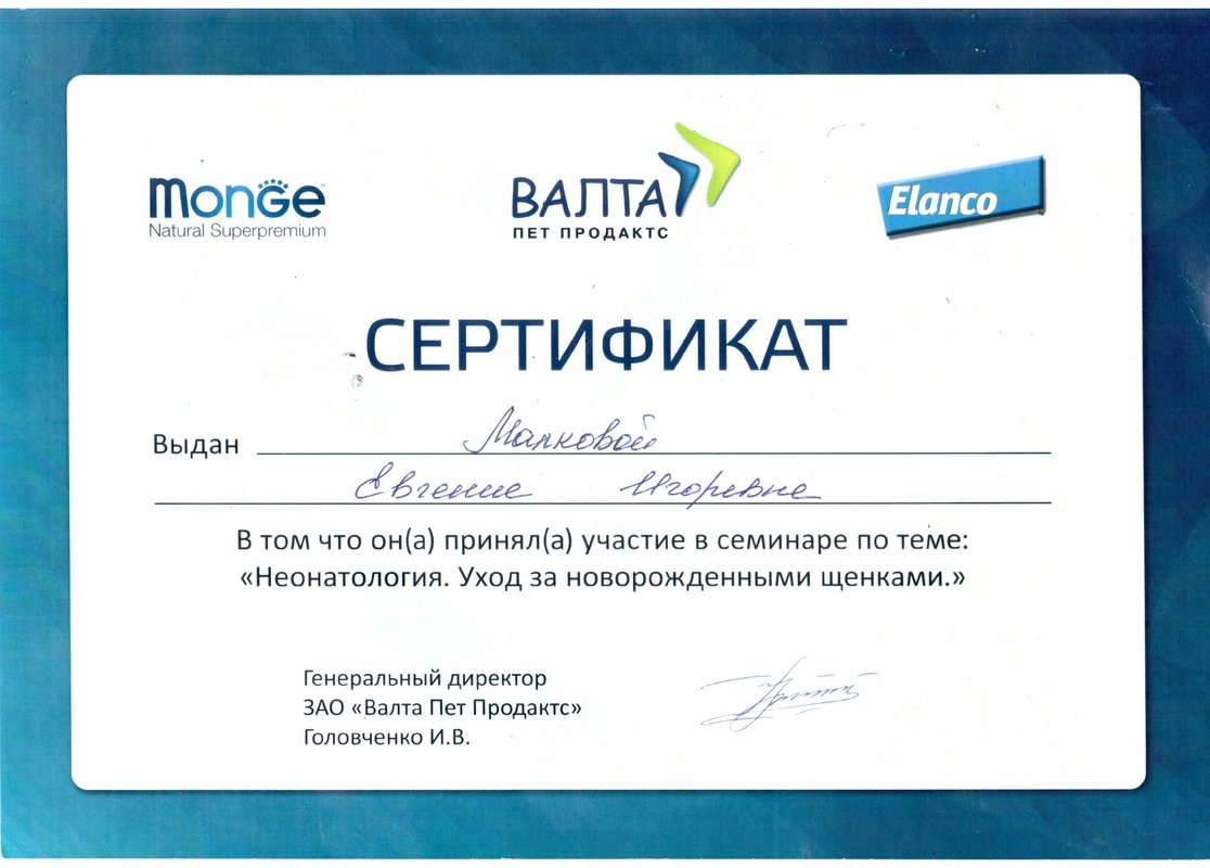 Документ или сертификат