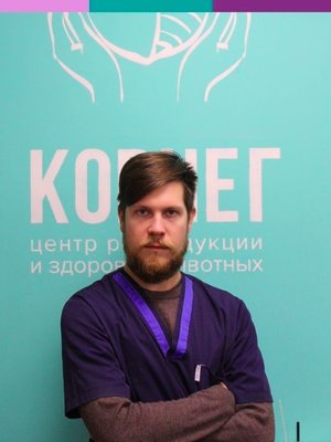 Фото врача Копченов Олег Вячеславович