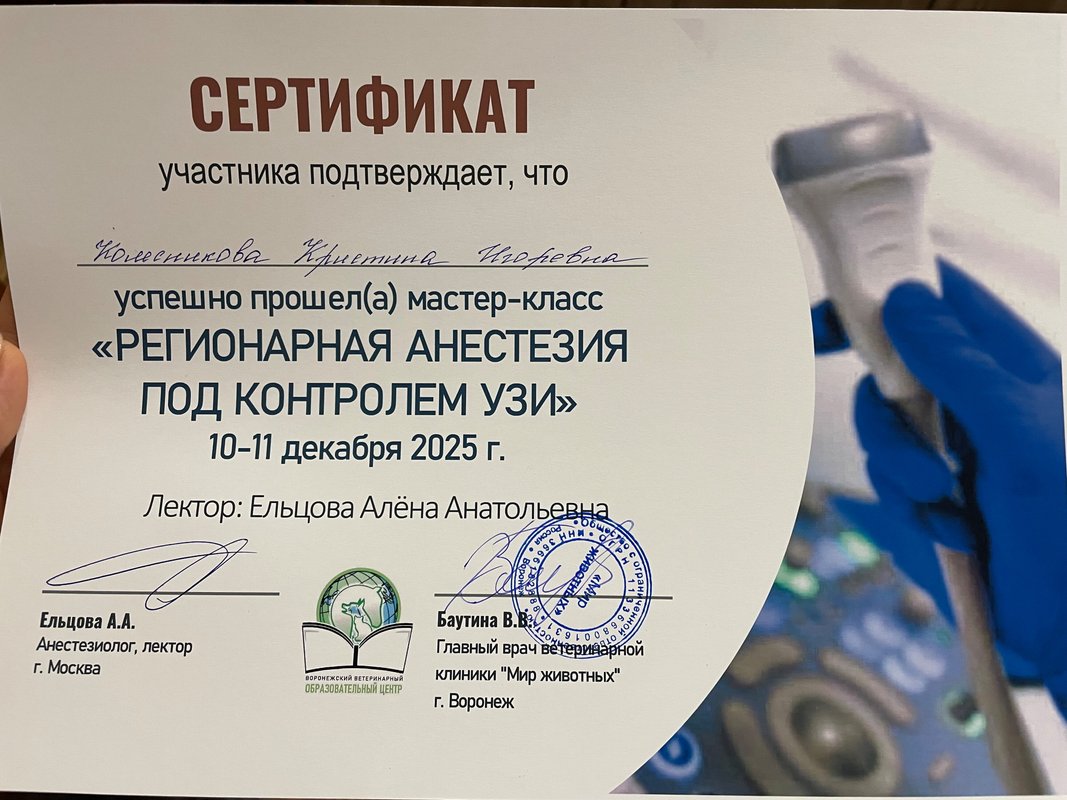 Документ или сертификат