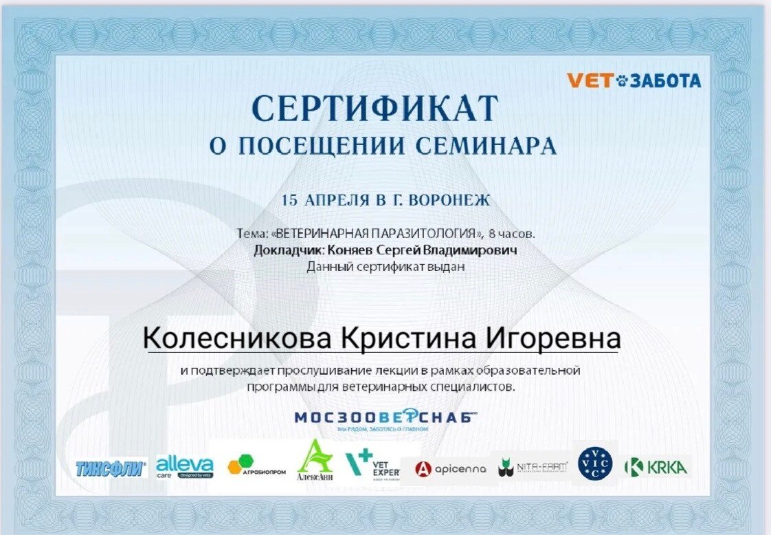Документ или сертификат