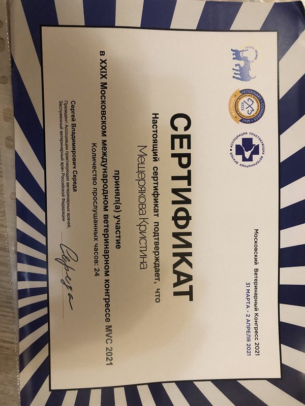 Документ или сертификат