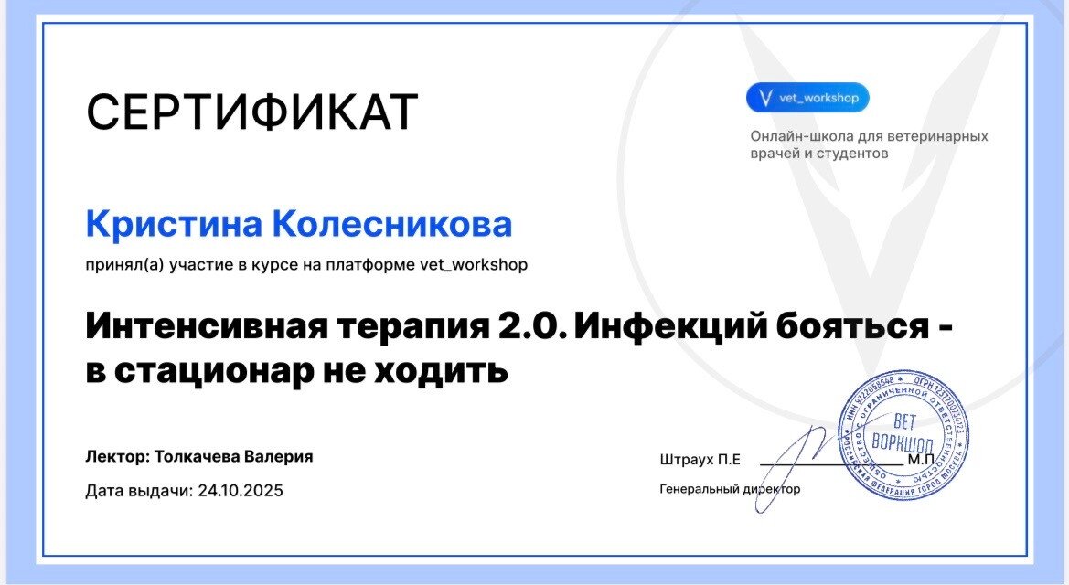 Документ или сертификат