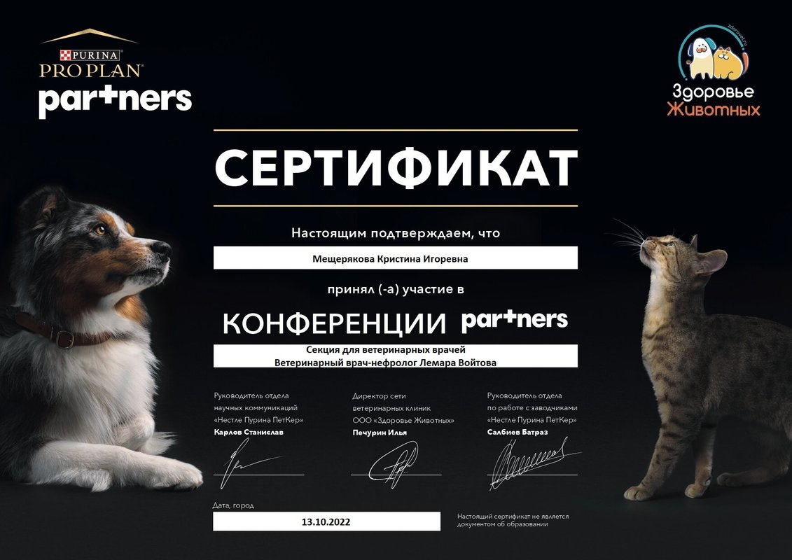 Документ или сертификат