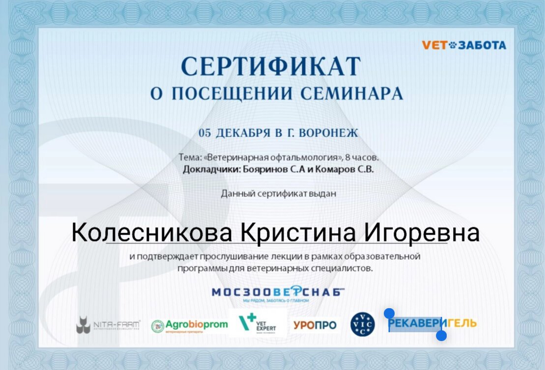 Документ или сертификат