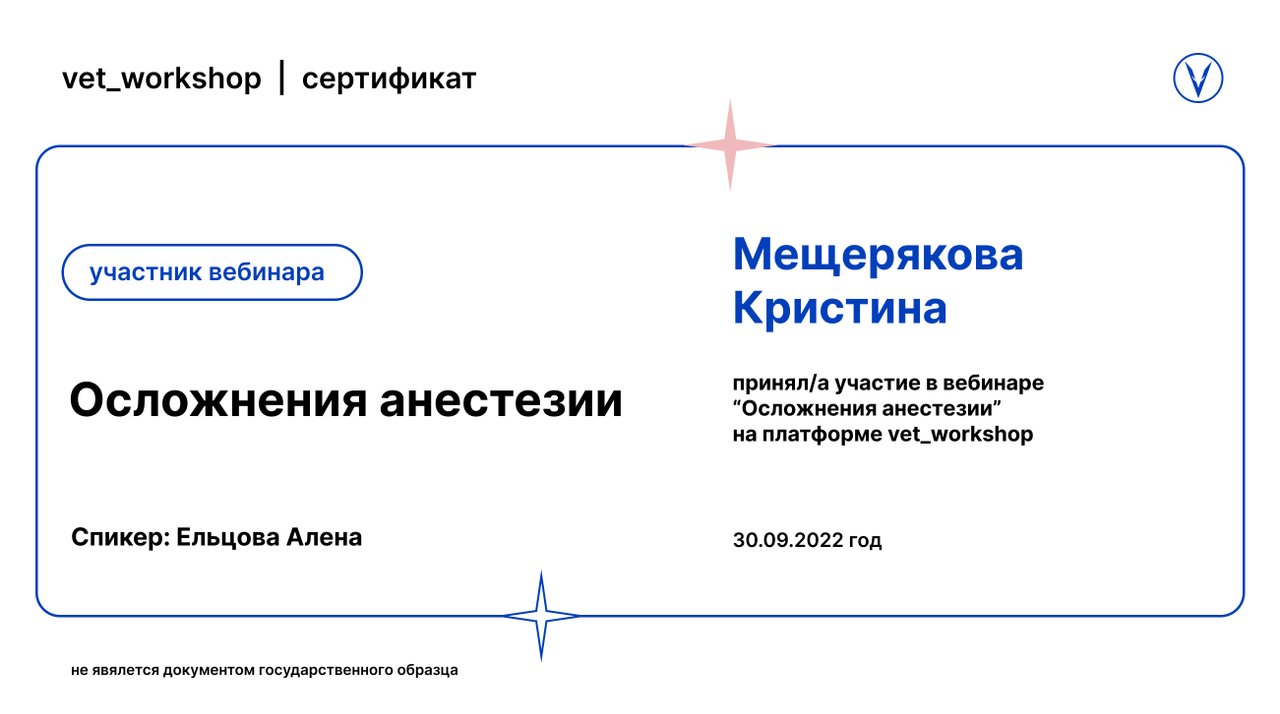 Документ или сертификат