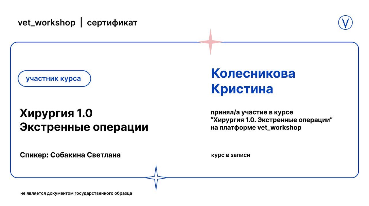 Документ или сертификат