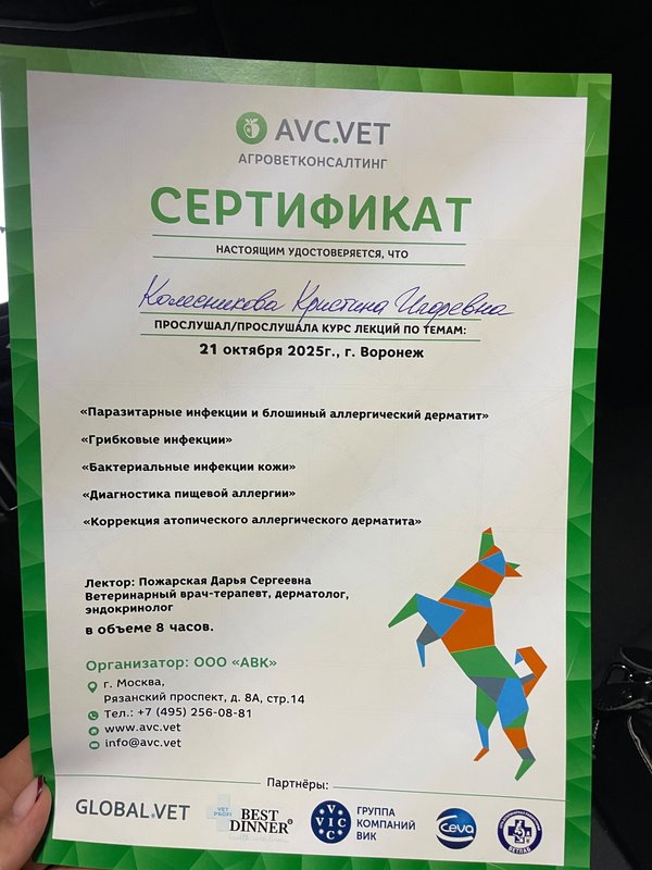 Документ или сертификат