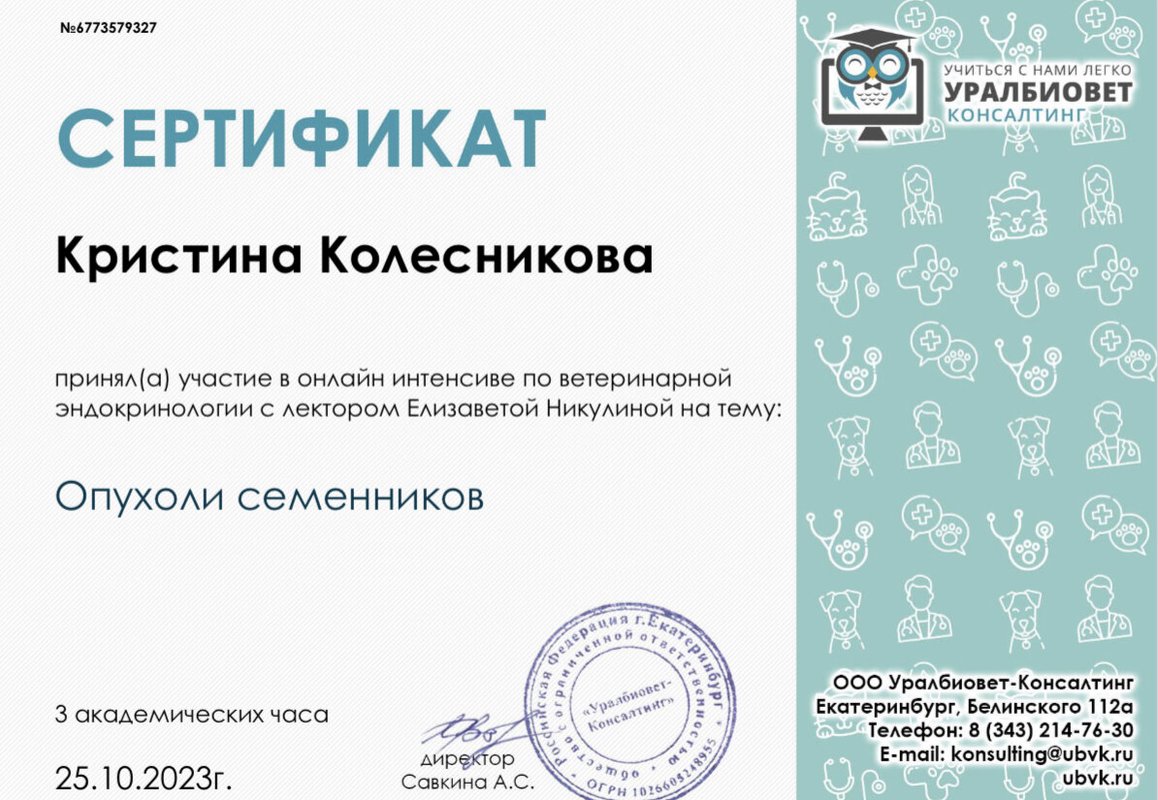 Документ или сертификат