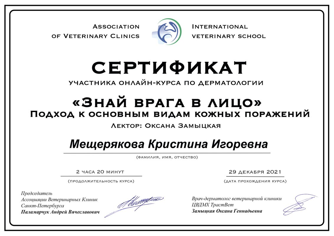Документ или сертификат