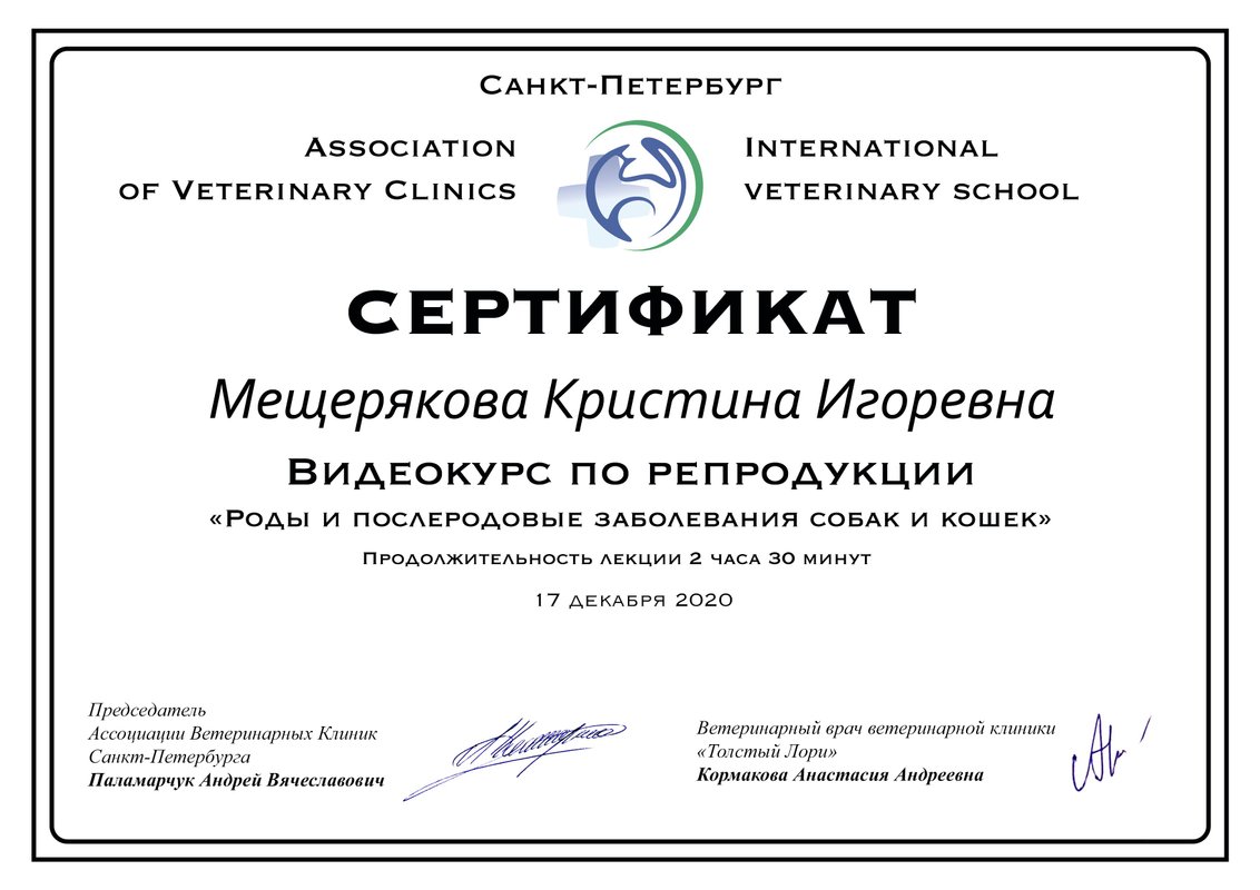 Документ или сертификат
