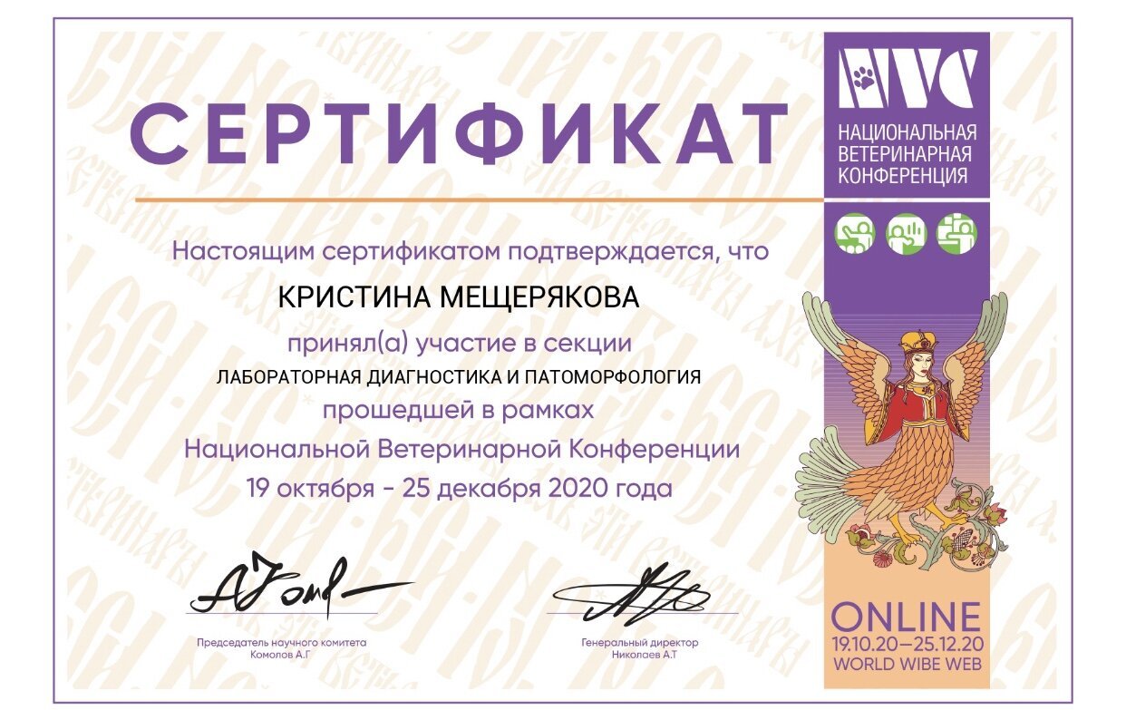 Документ или сертификат