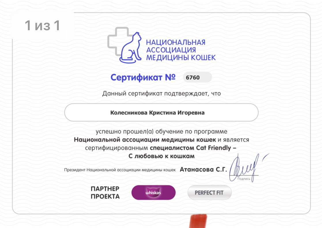 Документ или сертификат