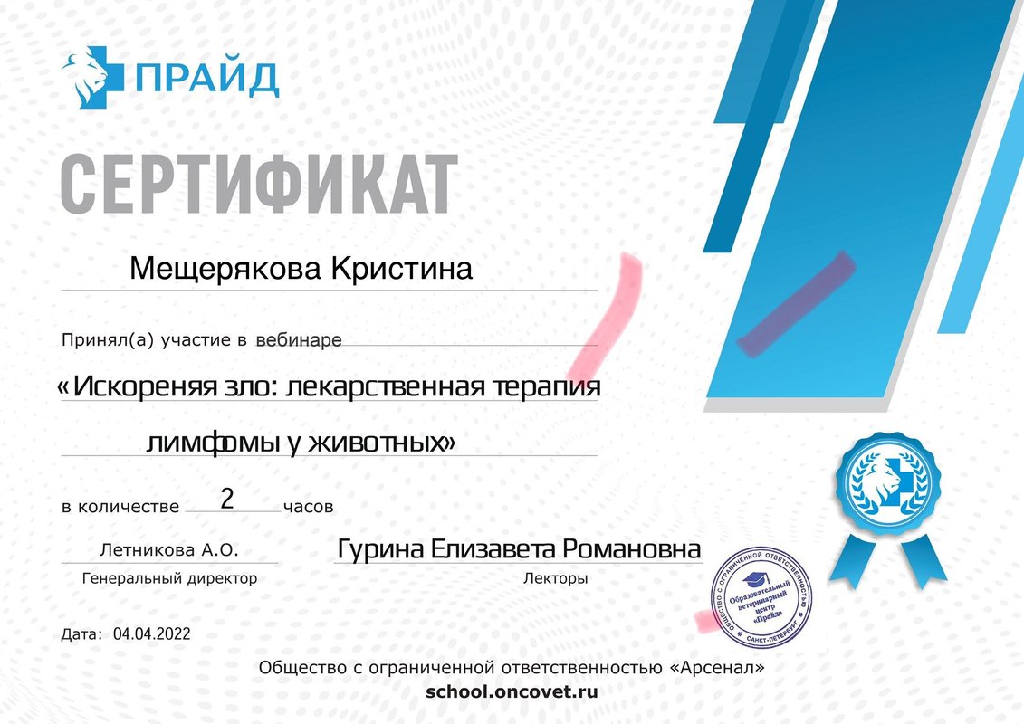 Документ или сертификат
