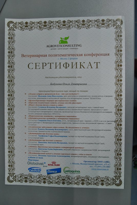Документ или сертификат