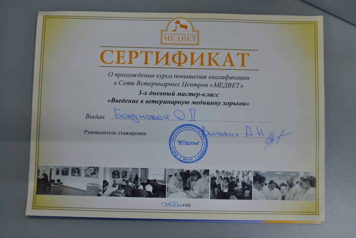 Документ или сертификат