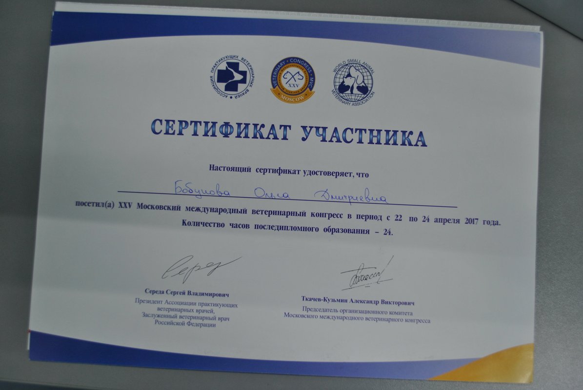 Документ или сертификат