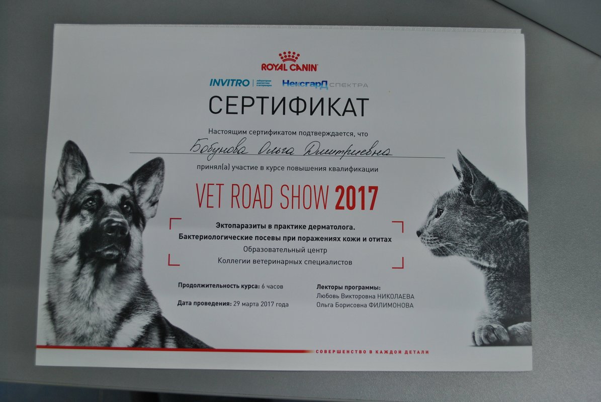 Документ или сертификат