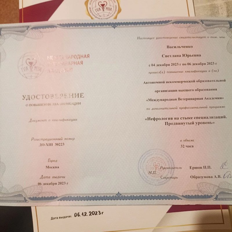 Документ или сертификат