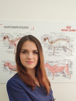 Фото врача Жигулина Алена Сергеевна