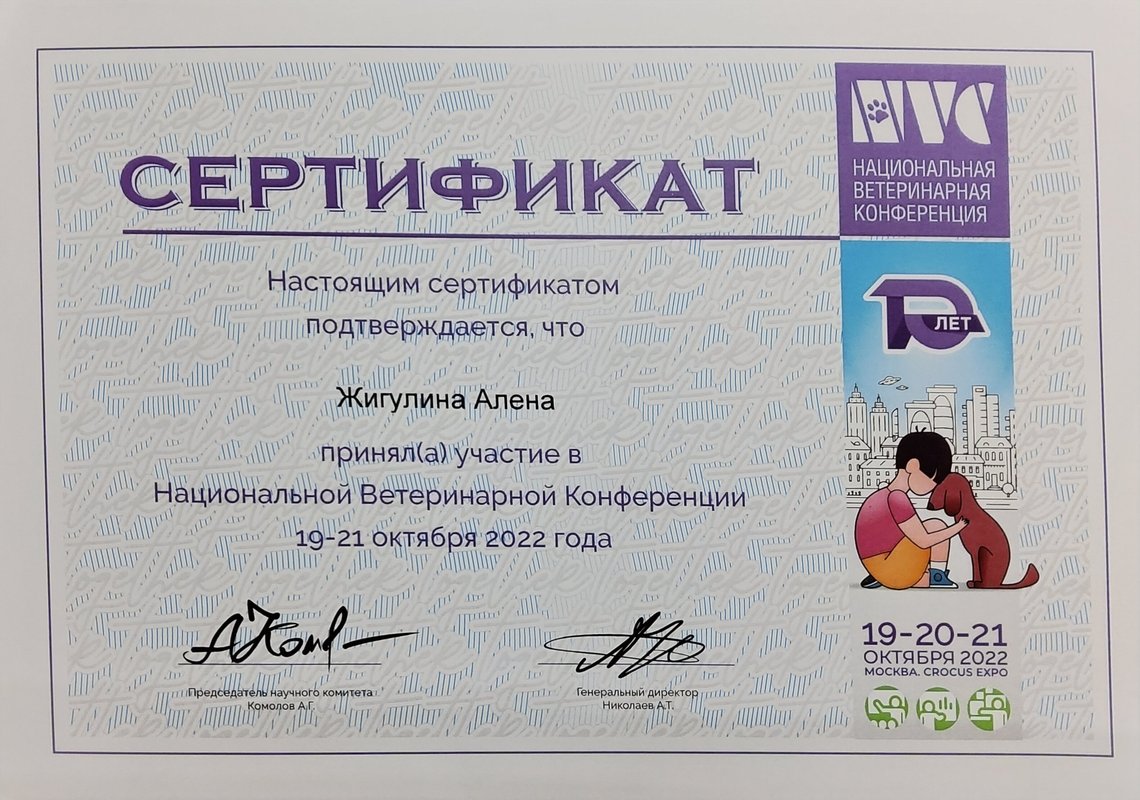 Документ или сертификат