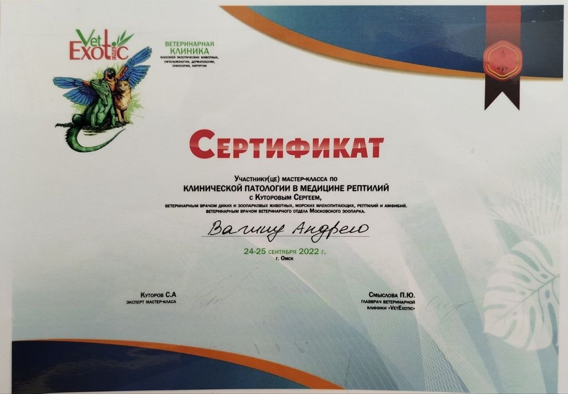 Документ или сертификат
