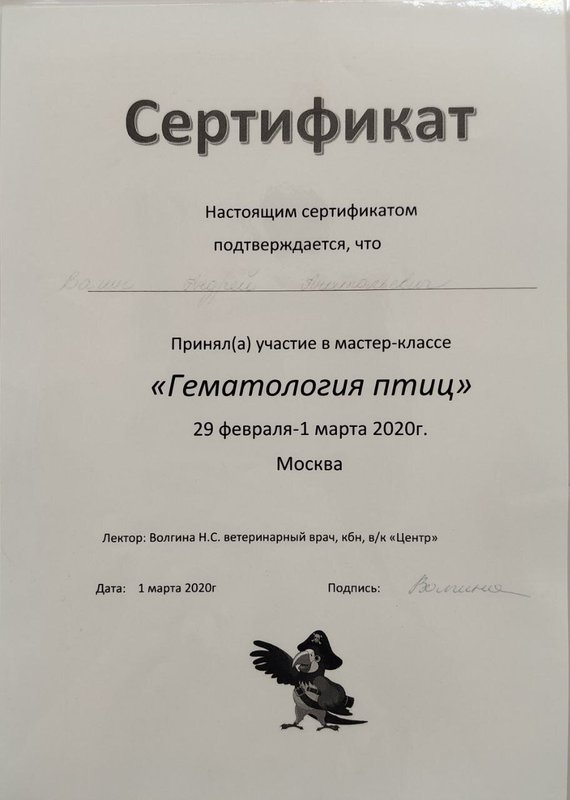 Документ или сертификат