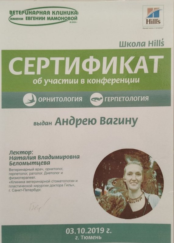Документ или сертификат