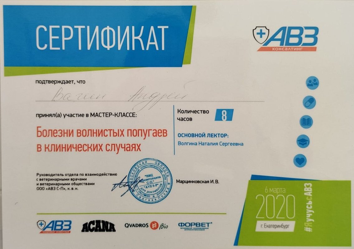 Документ или сертификат