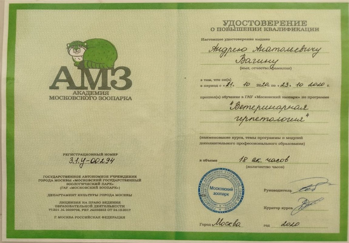 Документ или сертификат