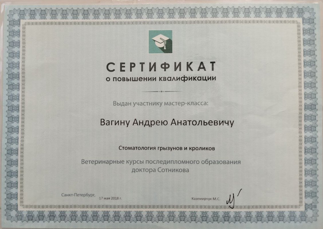 Документ или сертификат