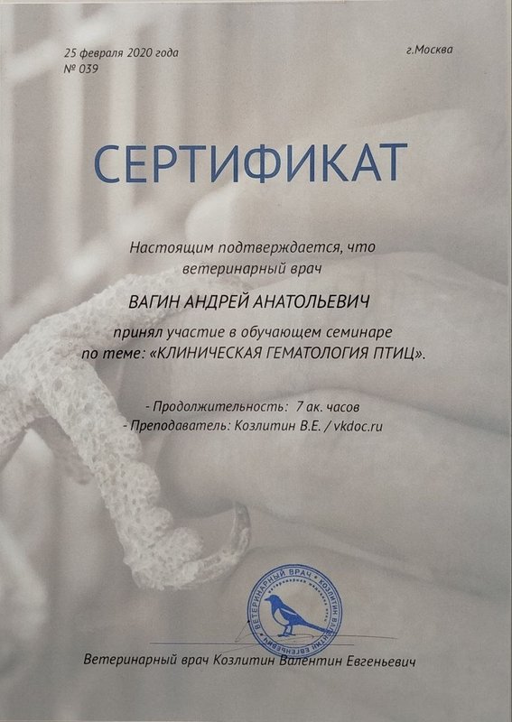 Документ или сертификат