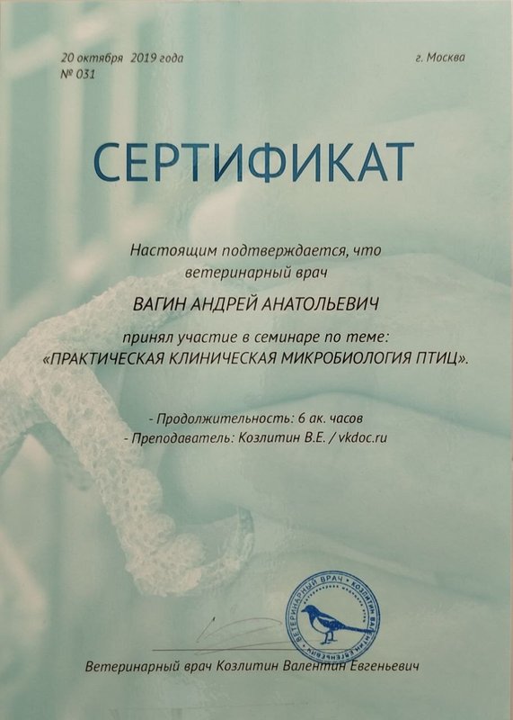 Документ или сертификат