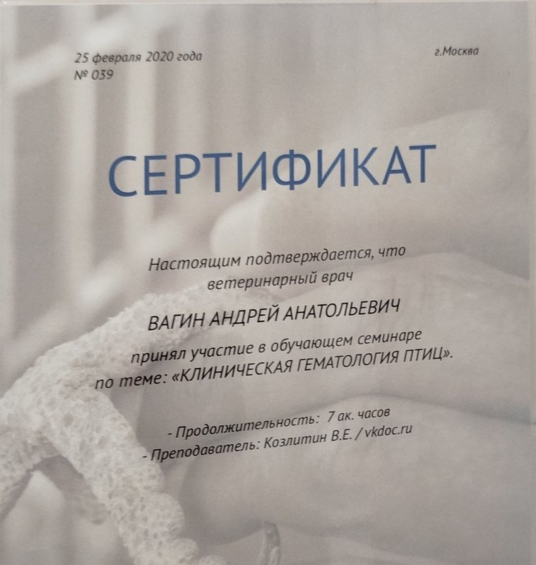 Документ или сертификат