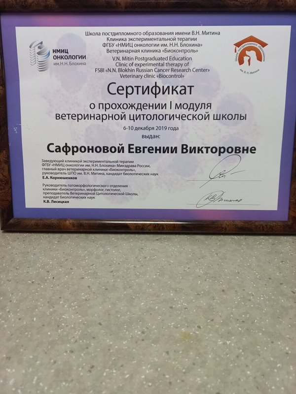 Документ или сертификат