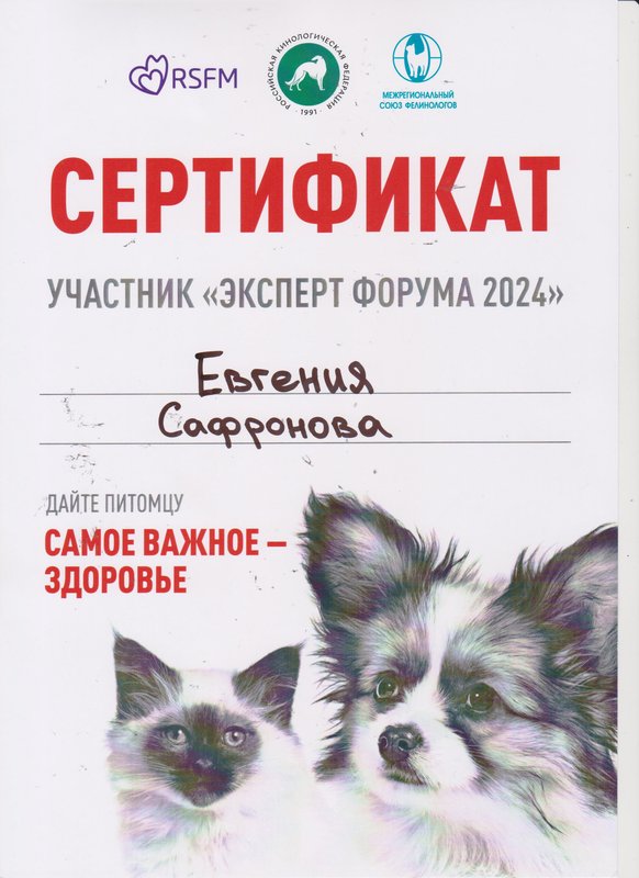 Документ или сертификат