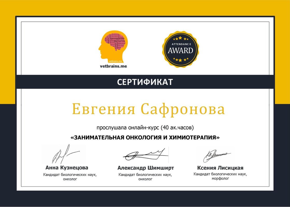 Документ или сертификат