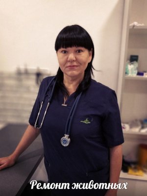 Фото врача Черникова Надежда Юрьевна