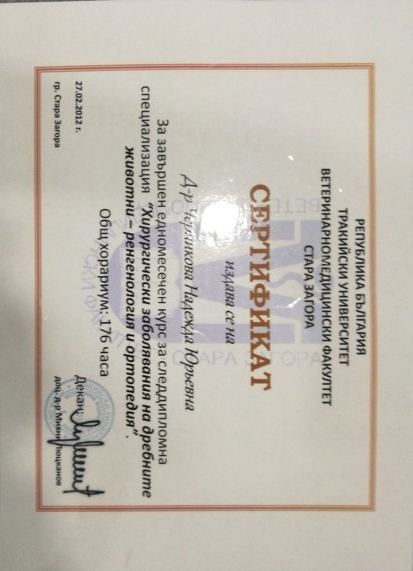 Документ или сертификат