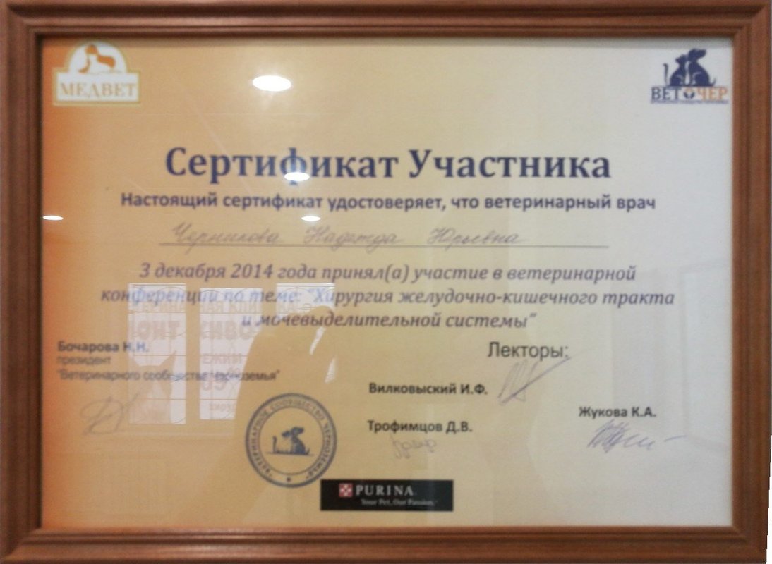 Документ или сертификат