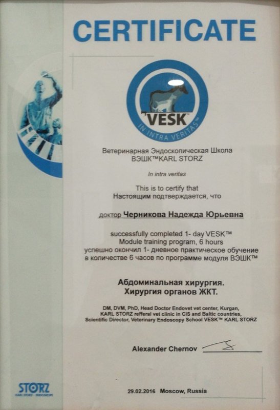 Документ или сертификат