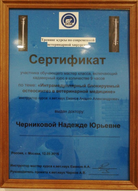 Документ или сертификат