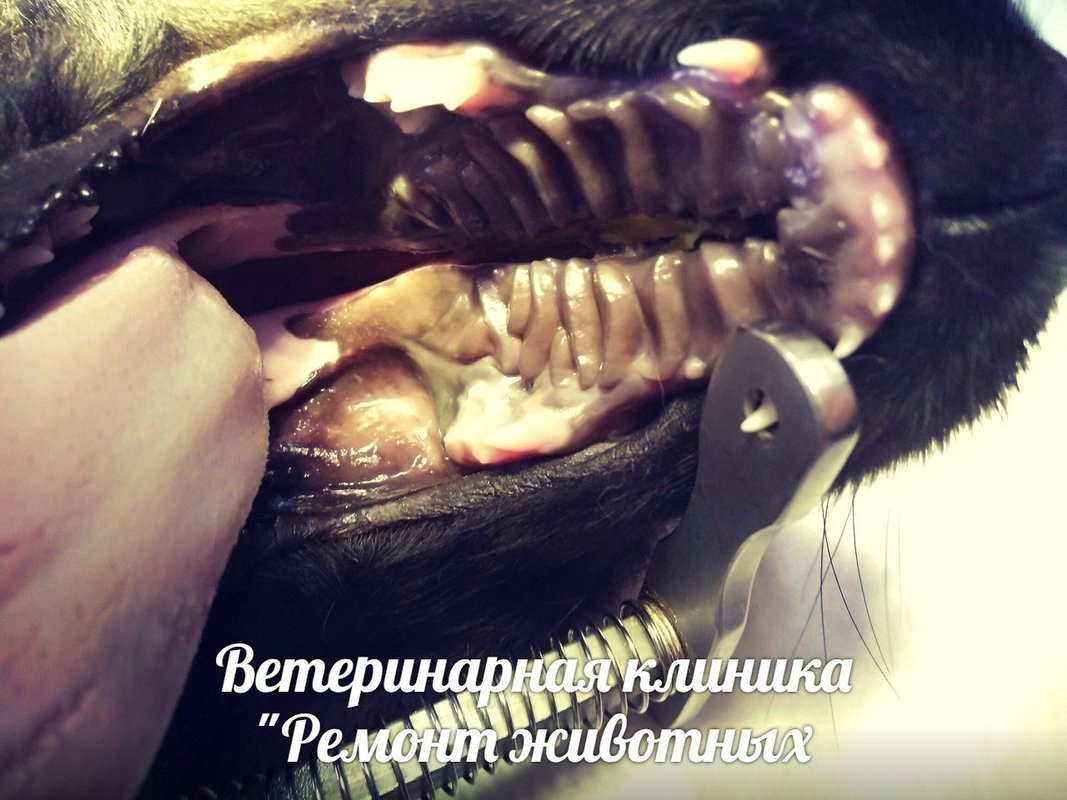 Фото врача