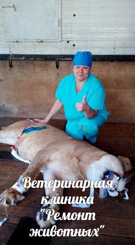 Фото врача
