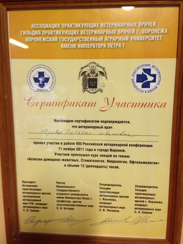 Документ или сертификат