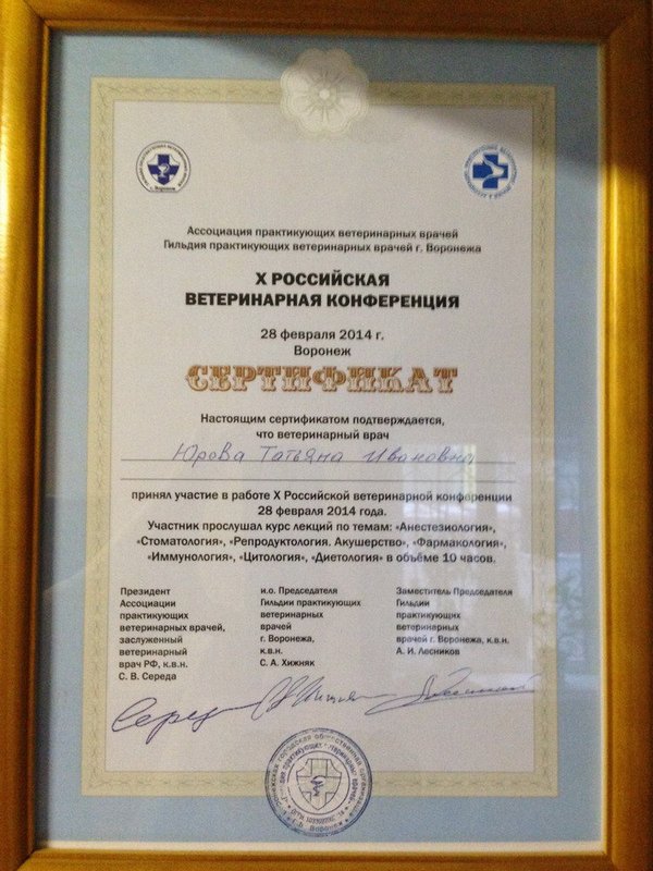 Документ или сертификат
