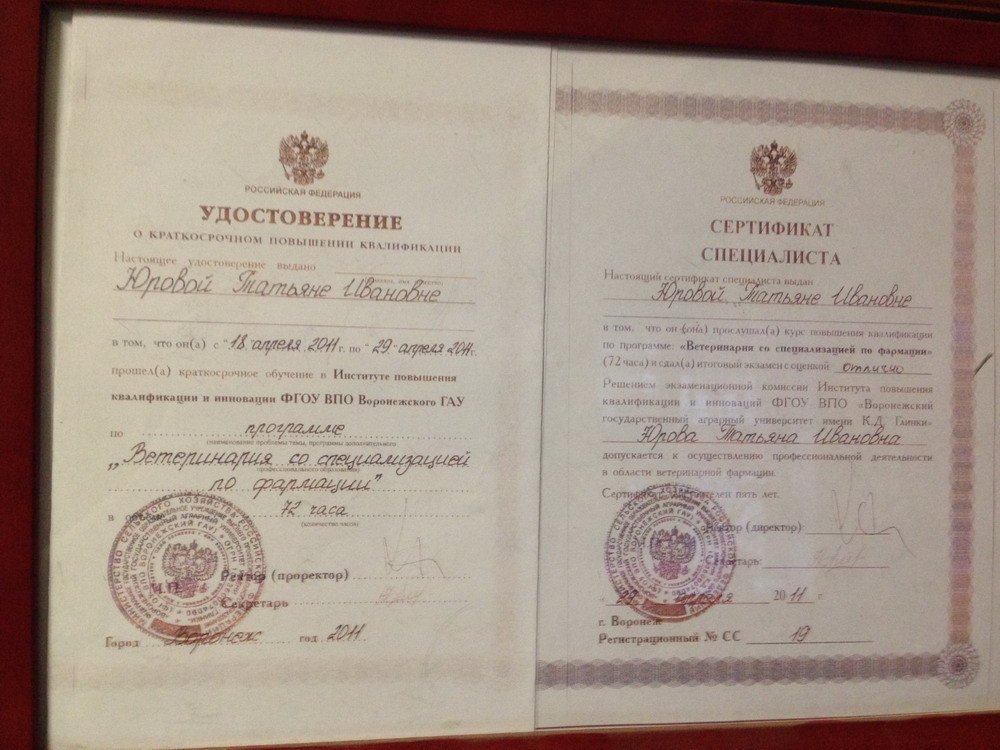 Документ или сертификат